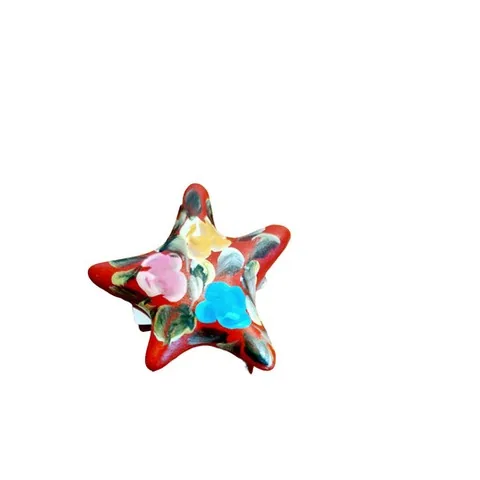 Hand Painted Star Magnet